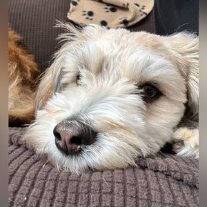 Meet your Posher, Bubba